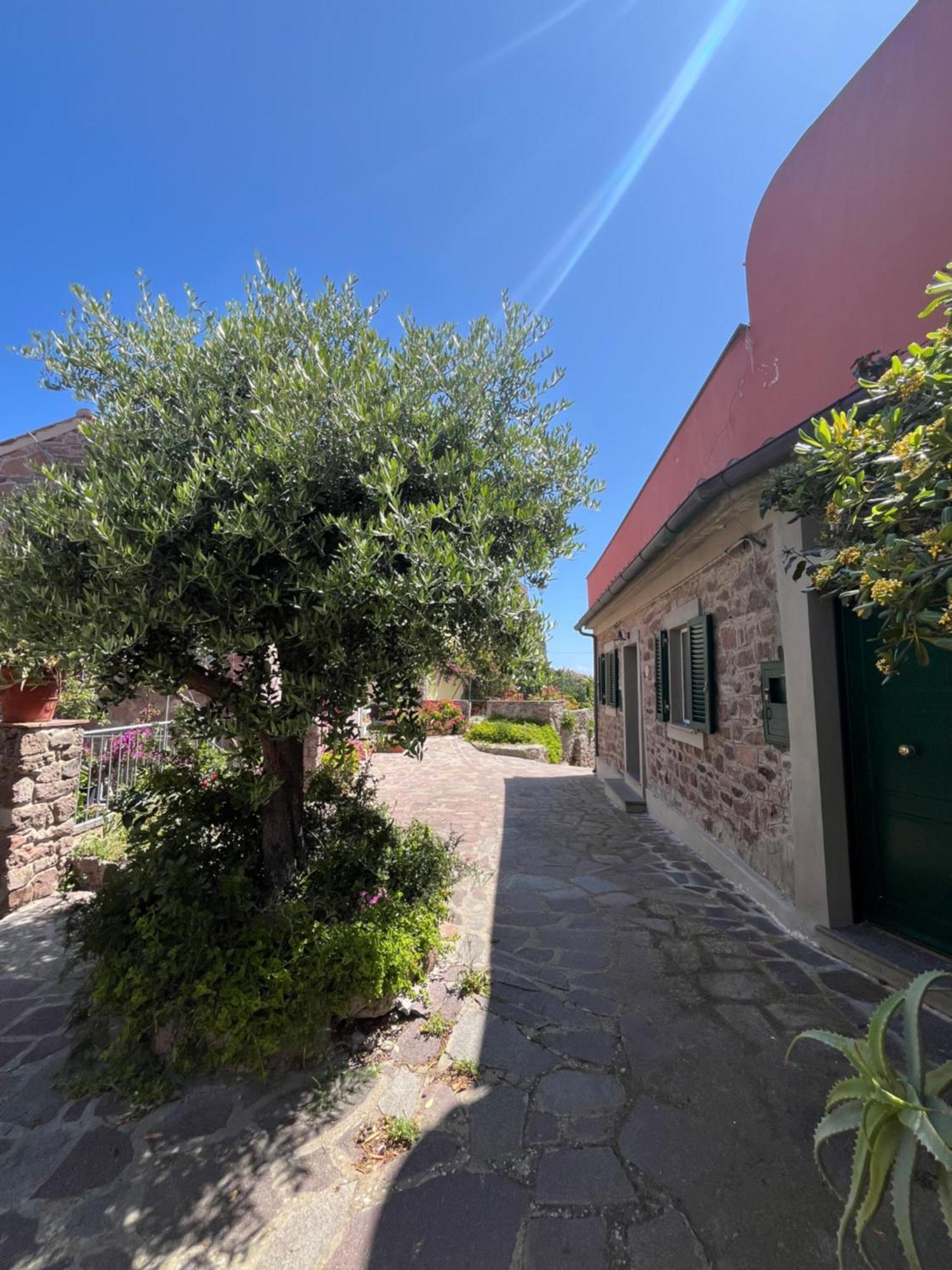 Casa Vista Castello * Capraia